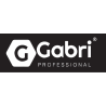 Gabri